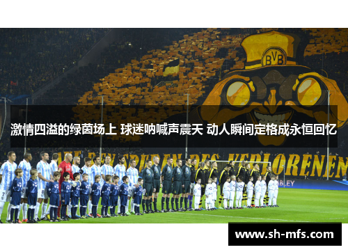 激情四溢的绿茵场上 球迷呐喊声震天 动人瞬间定格成永恒回忆